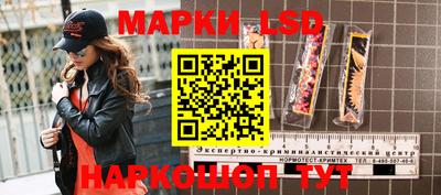 гашик Будённовск