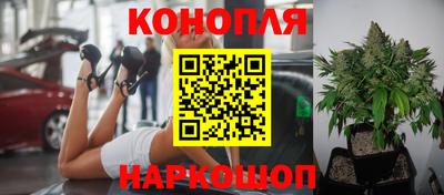 крисы Бугуруслан