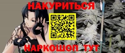 гашик Будённовск
